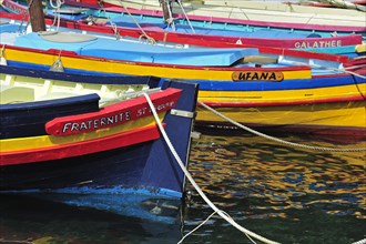 Traditional colourful fishing boats for fishing anchovies in the harbour at Collioure