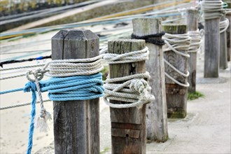 Knots in ropes of moored boats around wooden mooring posts at Port Racine