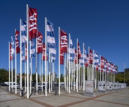 Flagpoles with IFA flags
