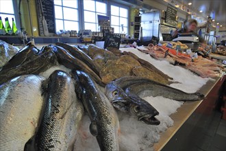 Fresh fish and seafood on display at fish market in the port of Le Treport