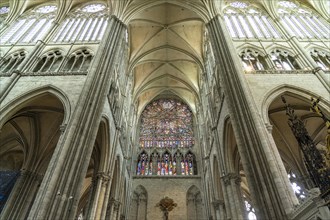 Interior and rose window of Notre Dame d'Amiens Cathedral