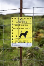 Sign with penalty for dog owners with pictogram and English language: Your Dog