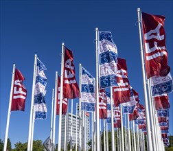 Flagpoles with IFA flags