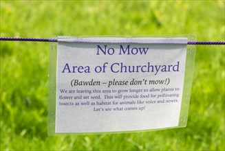 No Mow May sign in churchyard