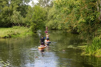 People paddle boarding on River Stour