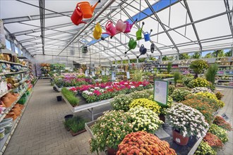 Flowers and colourful watering cans in a garden centre