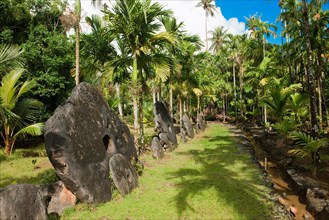 Oversized Large Giant Stone Coins Real Stone Money Stone Money Bank in Jungle of Yap Island