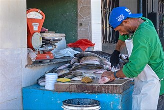 Fishmonger cleaning fish at market in the port