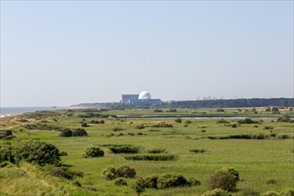 View over marshes at RSPB Minsmere to Sizewell nuclear power station