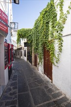Winding alleys with white houses