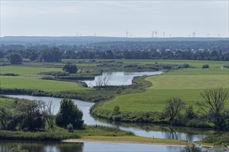The Boize in the Elbe floodplain in the Elbe River Landscape UNESCO Biosphere Reserve. Elbe Valley