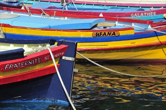 Traditional colourful fishing boats for fishing anchovies in the harbour at Collioure