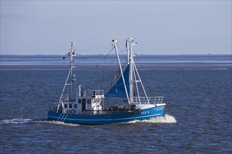 Shrimp boat fishing in the Wadden sea