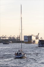 Sailing boat at dusk underway on the Elbe in Hamburg harbour
