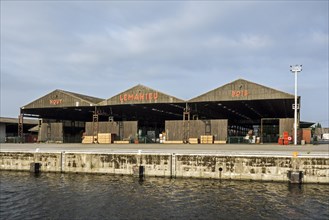 Timber stored in warehouses at Houtimport Lemahieu in the port of Ghent