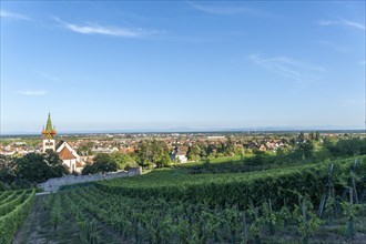View over the Upper Rhine Plain. In the background