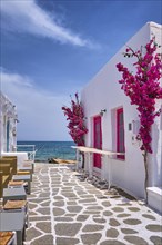 Beautiful street of Greek island town open right to seafront on sunny summer day. Whitewashed houses