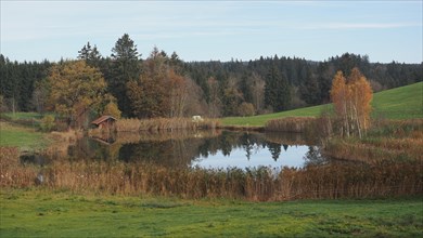 Pond with hut in Herbst