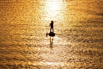 A stand-up paddler paddles on the river Main at sunset in Frankfurt