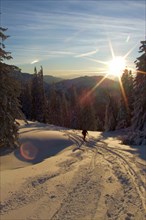 Ski tour in high winter