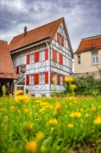 Historic half-timbered house on flower meadow