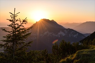 Sunrise in the Chiemgau Alps with Zwiesel and Hochstaufen