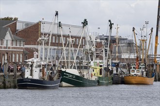 Fishing cutter in the fishing harbour of Cuxhaven