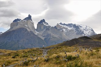 Tourist admiring the peaks of the Cuernos del Paine in Torres del Paine National Park