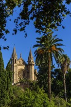 Palma Cathedral in Majorca