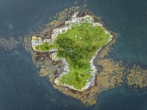 Aerial view of a tree island in Loch Sunart