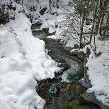 Green stream in white snow
