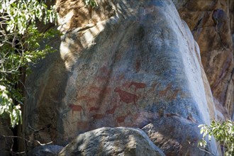 Rock rock painting in Tsodilo Hills