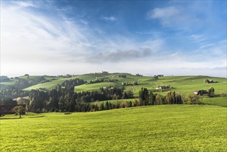 Hilly landscape with farms and green meadows in Appenzellerland