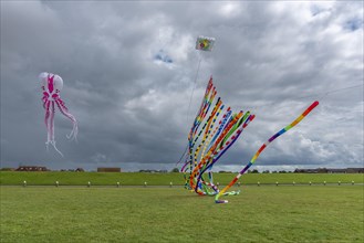 Flying kites at the so-called Drachenwiese