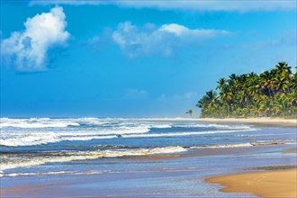 Beautiful completely deserted Sargi beach surrounded by coconut trees on a sunny day in Serra Grande on the south coast of Bahia