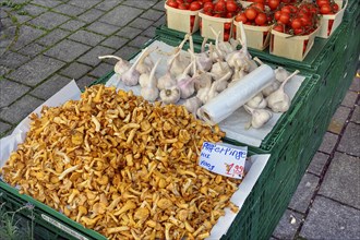 Market stall with real chanterelles
