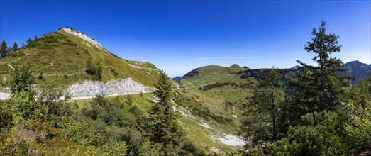 Panoramic road to the Trattbergalm