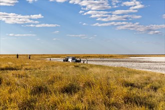 Grassland and visitors with off-road vehicles in Nxai Pan National Park