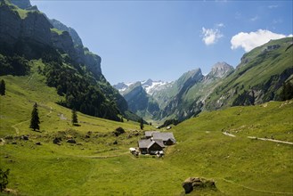 Steep mountains and alpine pasture