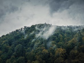 Peaceful fall scene with foggy clouds moving through the mixed forest on the top of a hill in a gloomy day. Natural autumn landscape in the woods