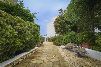 Beautiful garden in traditional Mediterranean style on overcast day after rain. Lush foliage