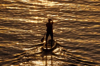 A stand-up paddler paddles on the river Main at sunset in Frankfurt