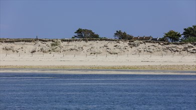 Sandy beach beach and dune Ile Saint-Nicolas