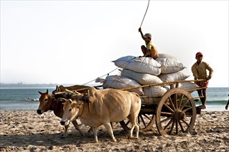 Ox cart loaded with sacks and boys on the beach