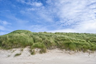 Dunes with dune grass on the sandy beach of Balnakeil Beach in the Northern Highlands