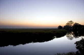 Landscape with evening mood in the Okavango Delta