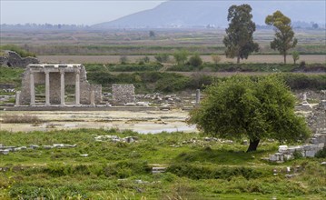 Miletus Ruin Field