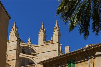 Cathedral with blue sky in Palma