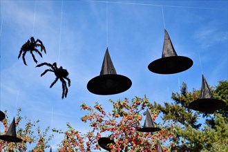 Witch hats and spiders Halloween decoration hanging in sky