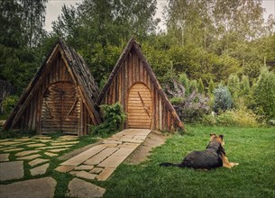 Loyal dog guards the house looking around as lying down in the yard. Faithful pet concept. Countryside background